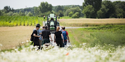 Hauptbild für Whiskywanderung 2024