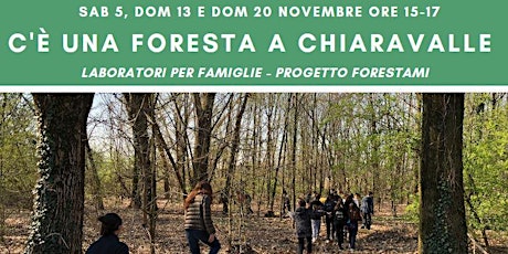 Immagine principale di C'è una foresta a Chiaravalle - laboratori per bambini per FORESTAMI 