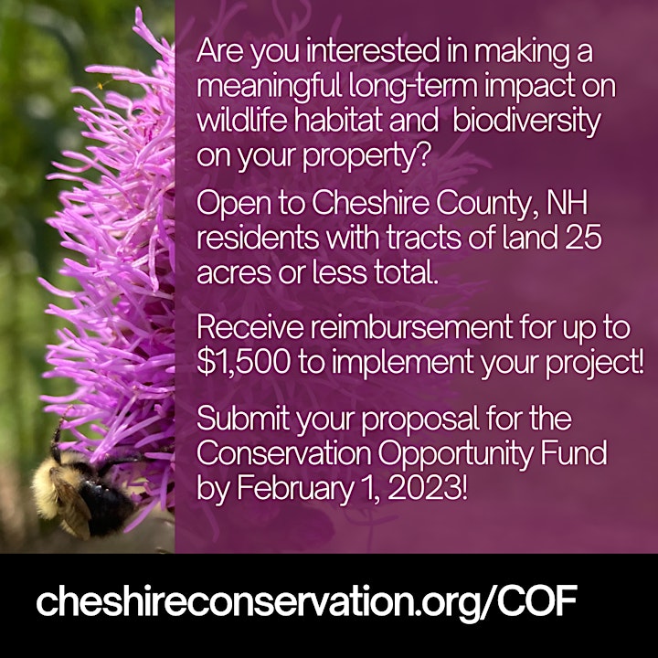Conservation Opportunity Fund Informational Session image