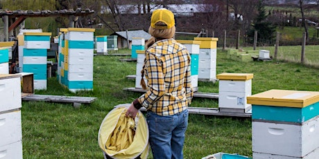 2018 Beginning Beekeeping Class | Grants Pass  primary image
