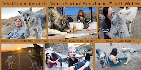 Nature Nurture Experience  with Wolves  -  Meet the Pack + Hike+ Sound Bath primary image
