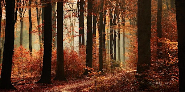 Self-Care Retreat for Women with Diabetes