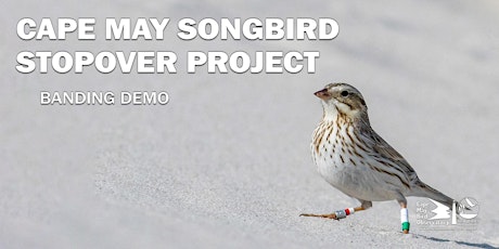Cape May Songbird Stopover Project: Banding Demo