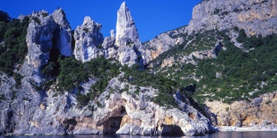 Discover tipical animals of the Gulf Of Orosei Discover tipical animals of the Gulf Of Orosei