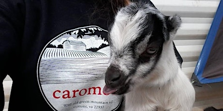 Caromont Farm Open House & Snuggle Session (April 8th, 2018) primary image