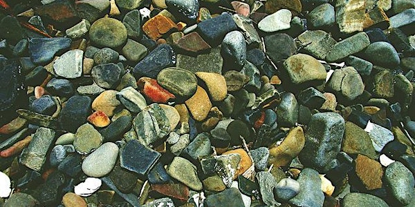 Building Bridges in a Divisive Climate: Diversity in LAM (URI Libraries)