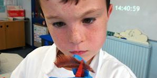 Real Science in Schools