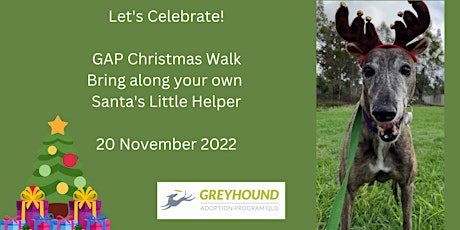 Greyhound Adoption Program - Christmas Walk in the Park - The Strand primary image