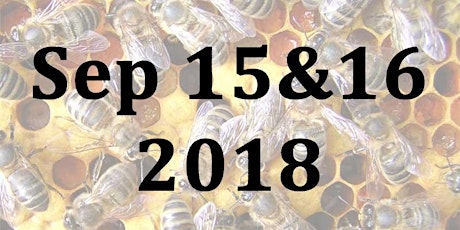 Beginning Your Beekeeping - Weekend Beginners Course primary image