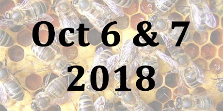 Beginning Your Beekeeping - Weekend Beginners Course primary image