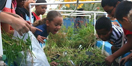 Gardening 101: Composting & Worm Class primary image