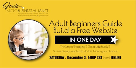 ADULT BEGINNERS GUIDE . Build a Free Website in 1 Day primary image