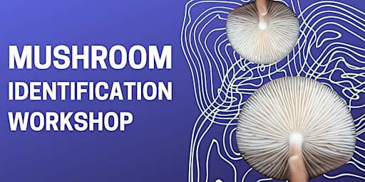 Mushroom Identification Workshop: DNA Barcoding