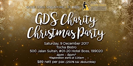 GDS Charity Christmas Party primary image