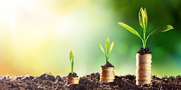 Think like a Venture Capitalist