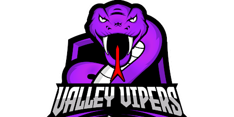 VIRGINIA VALLEY VIPERS PROFESSIONAL BASKETBALL TRYOUTS-TBL 2023 SEASON