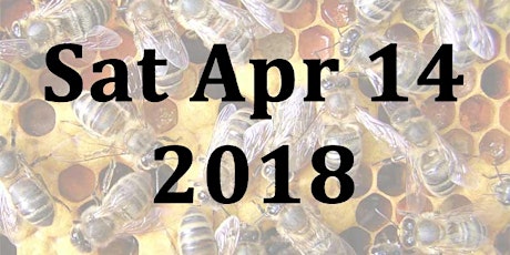 An Advanced Beekeeping Day Course - Sat 14th April 2018 primary image