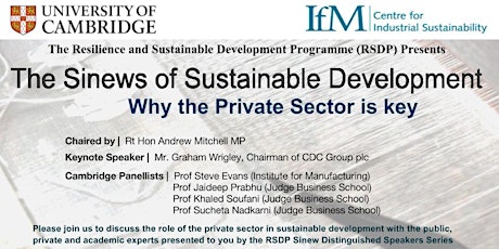 The Sinews of Sustainable Development: Roles of Private Sector primary image