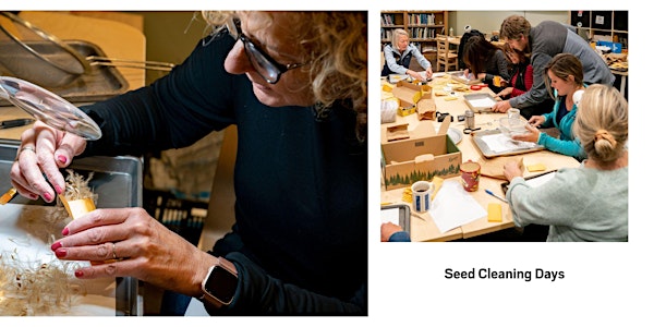 Seed Cleaning Volunteer Days
