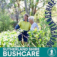 Sutherland+Shire+Council+Bushcare