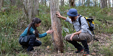 Pathways to a conservation career