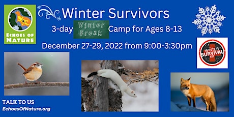Winter Break Camp:  Winter Survivors