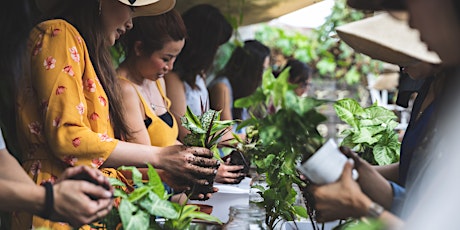 Kokedama Workshop, Macquarie Park