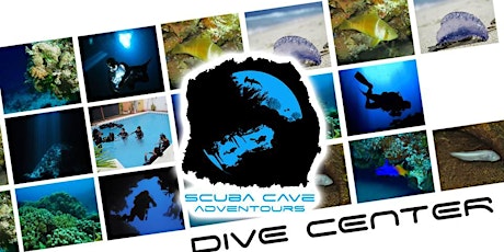 Imagen principal de Curso de bueo Open Water Diver PADI