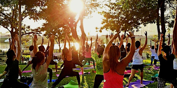 GET READY for 2018 with Yoga Seeds