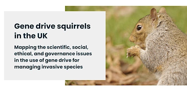 ‘Should we create gene drive grey squirrels?’