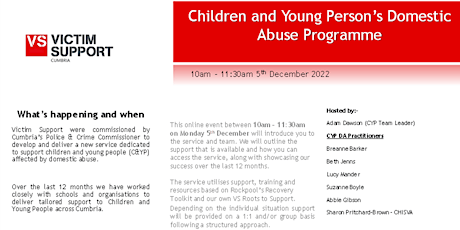Children and Young Persons Domestic Abuse Service  - 1 Year On