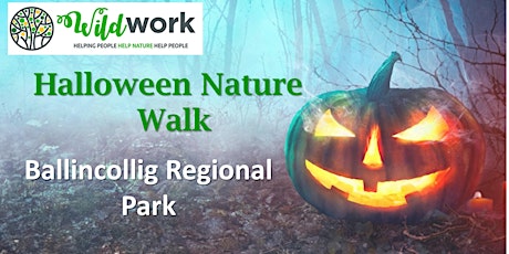 Image principale de Ballincollig Regional Park Halloween Walk: Afternoon