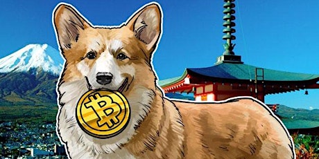 Bitcoin 101: My Dog Ate All my Bitcoins! Now, what do I do? primary image