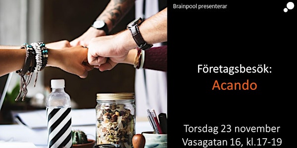 Företagsbesök: Acando