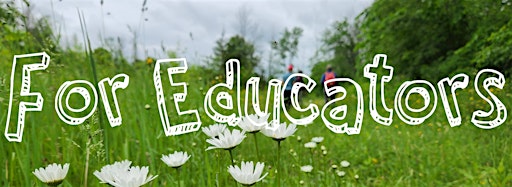 Collection image for For Educators