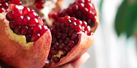 The Glorious Pomegranate: Love and Lore of an Ancient Fruit primary image