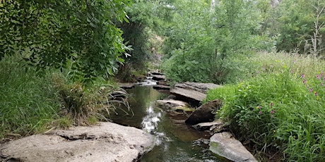Hayley's Hiking - Sturt Gorge River Trail primary image