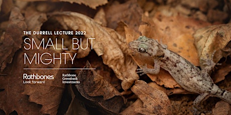 Small But Mighty: The Durrell Lecture 2022 primary image