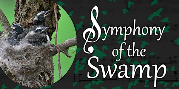 Symphony of the Swamp