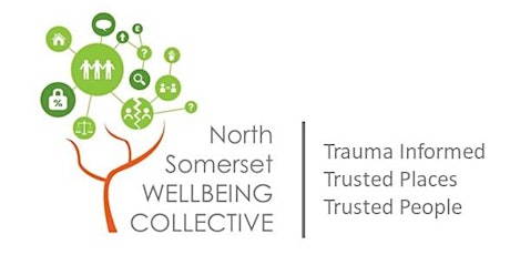 NS Wellbeing Collective - Trauma Informed Practice - What next? primary image