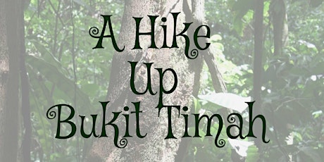 A Hike Up Bukit Timah primary image