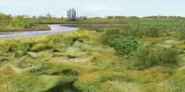 New Trends in Coastal Mitigation: A Detailed Look at In-Water Impacts & Mit...