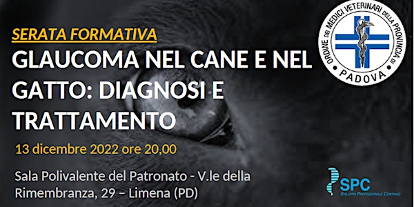 GLAUCOMA NEL CANE E NEL GATTO: diagnosi e trattamento (Dott. D Multari)