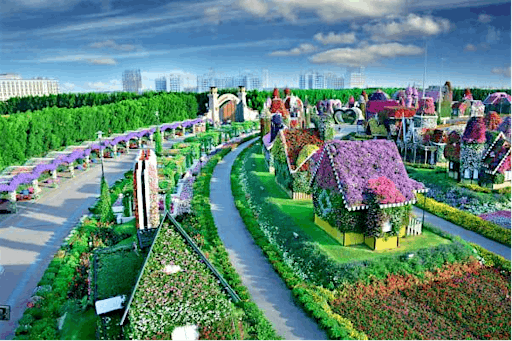 Miracle Garden - world’s largest natural flower garden