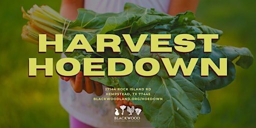 Harvest Hoedown at the Blackwood Landfarm primary image