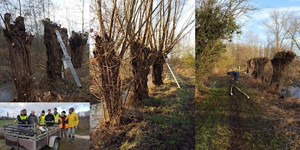 Dag van de Natuur in Keuzemeersen met Natuurpunt en Leefbaar Baarle