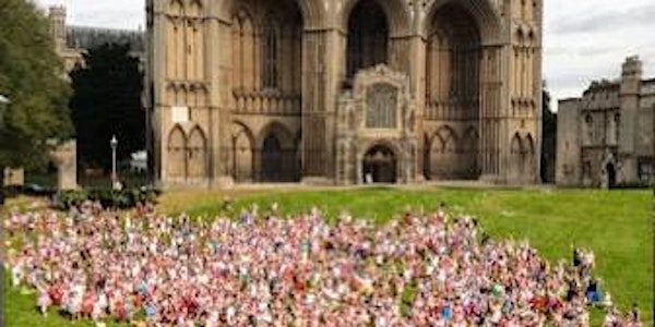 ANNA'S HOPE FAIRY WORLD RECORD