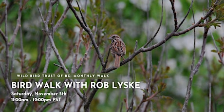 Bird Walk with Rob Lyske