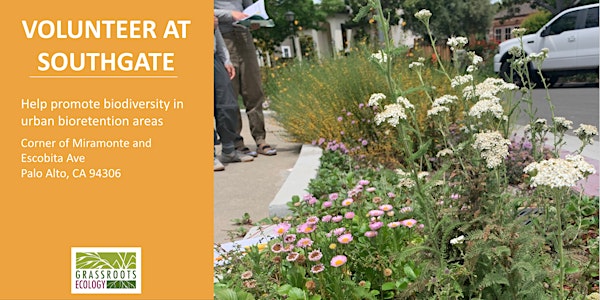 Southgate Neighbors: Community Workdays to Beautify the Bioretention Areas