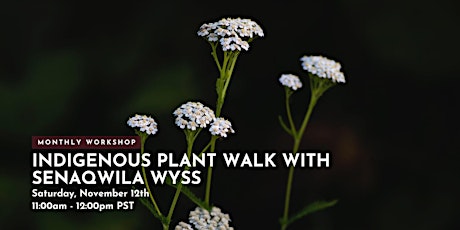 Indigenous Plant Walk with Senaqwila Wyss